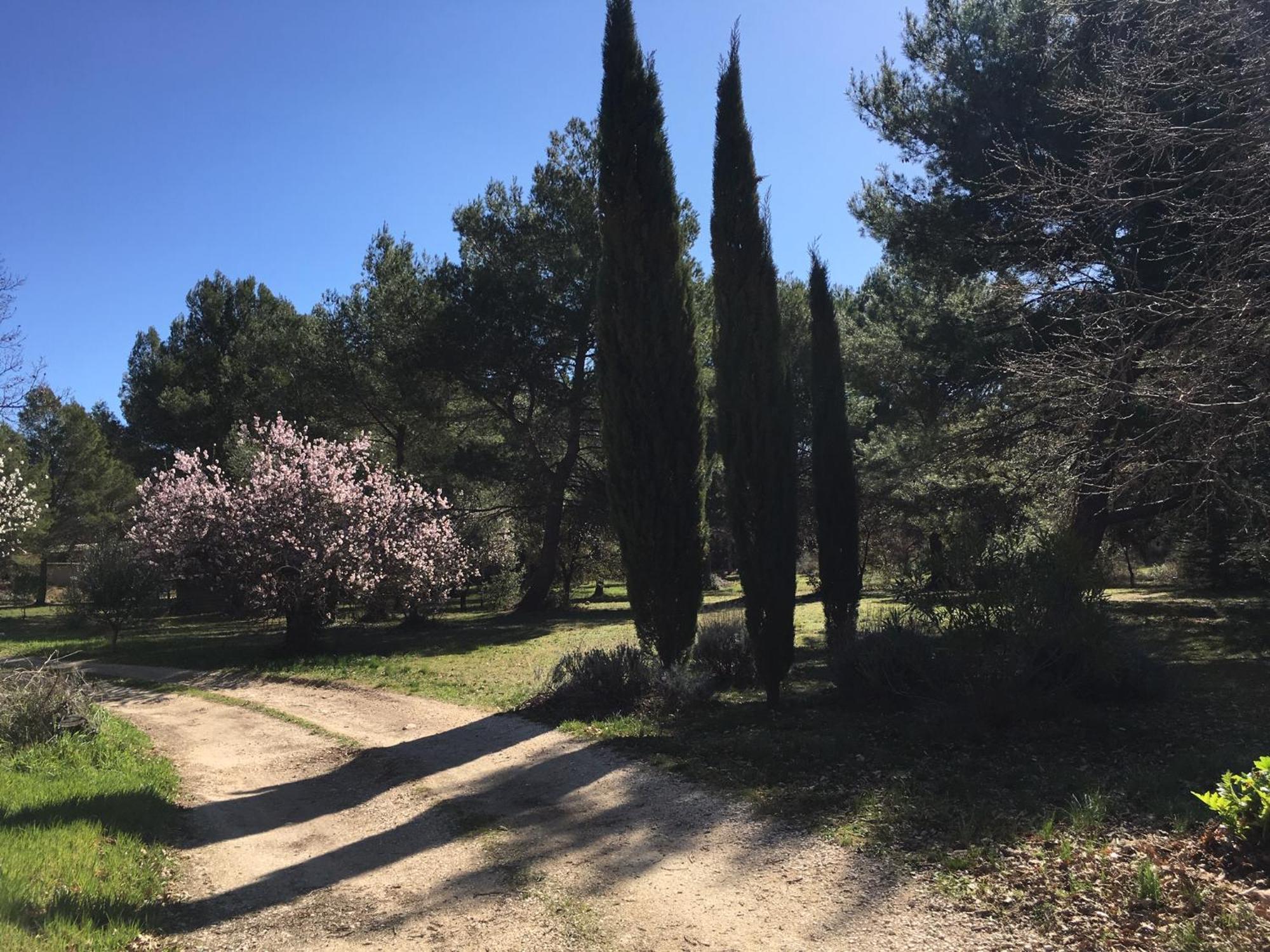 Le Domaine De Gaia Διαμέρισμα Αιξ-αν-Προβάνς Εξωτερικό φωτογραφία